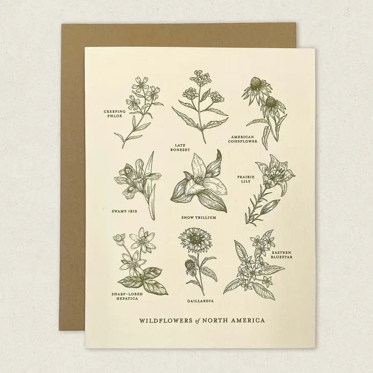 Wildflowers of North America Greeting Card