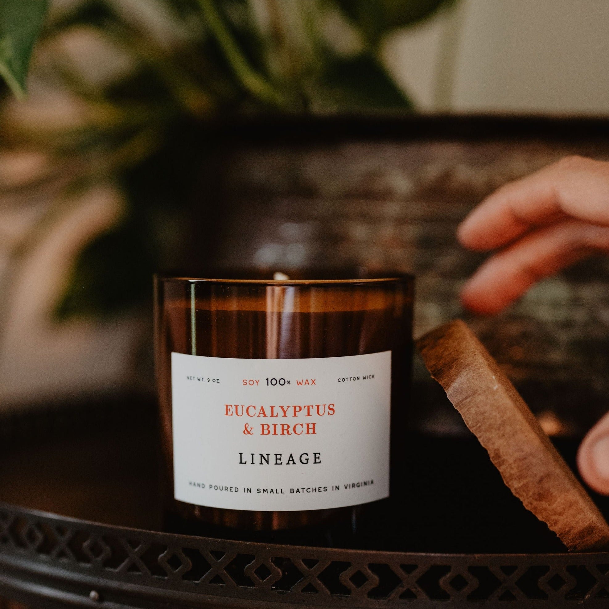 Lineage Candle – The Local Branch