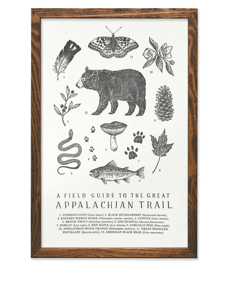 Appalachian Trail Guide Poster - The Local Branch