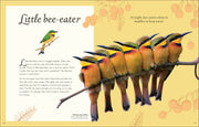 Anthology Birds