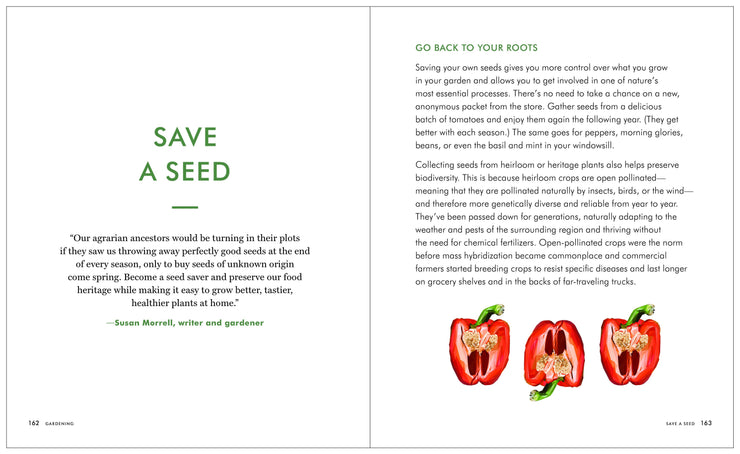 Kaufmann Mercantile Guide