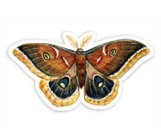 Polyphemus Moth Sticker - USA Made