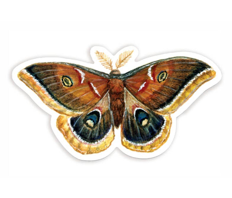 Polyphemus Moth Sticker - USA Made