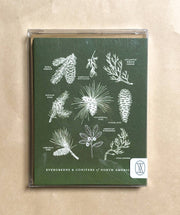 Evergreens & Conifer Greeting Card - USA Made