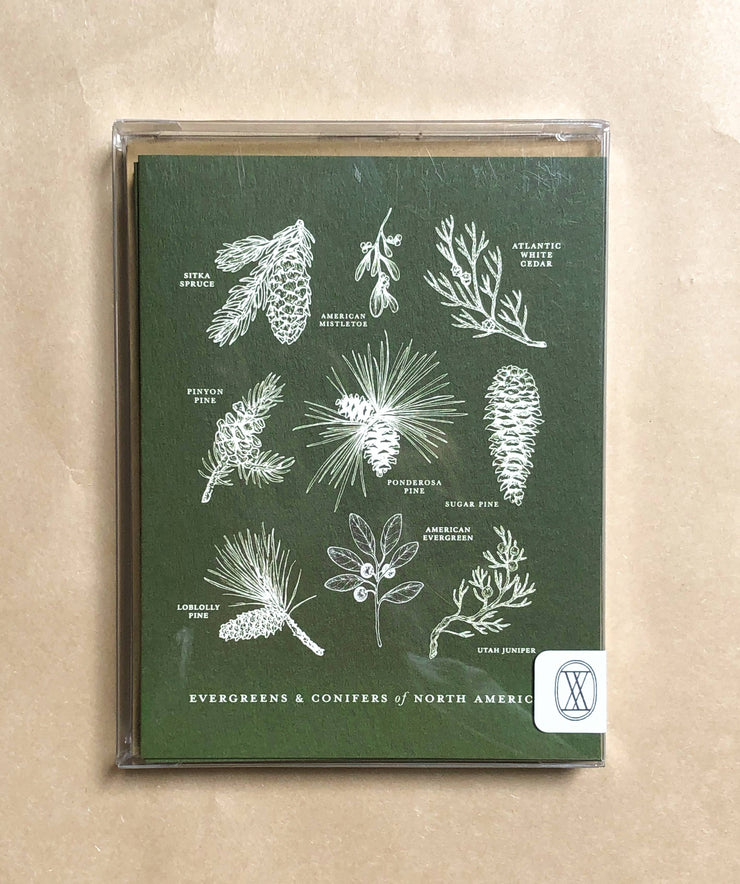 Evergreens & Conifer Greeting Card - USA Made