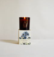 Quiet Botanist Candles - USA Made