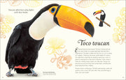 Anthology Birds