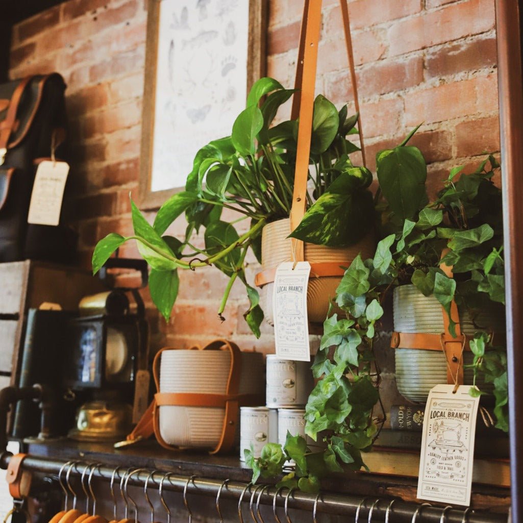 plant hanger leather Leather Plant Hanger