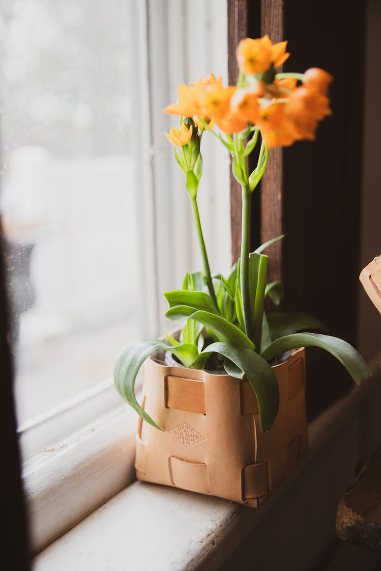 Leather Tabletop Planter