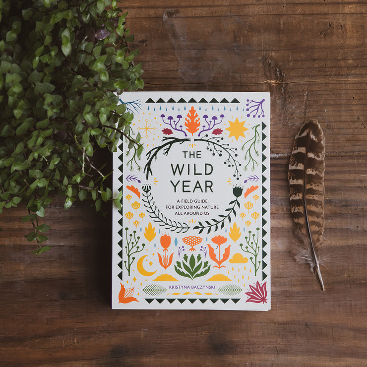 The Wild Year: A Field Guide for Exploring Nature all Around Us