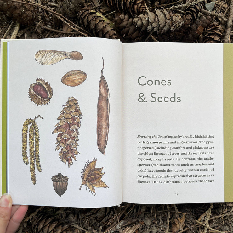 Book open to a page titled &