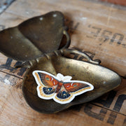 Brass butterfly tray with moth sticker on it
