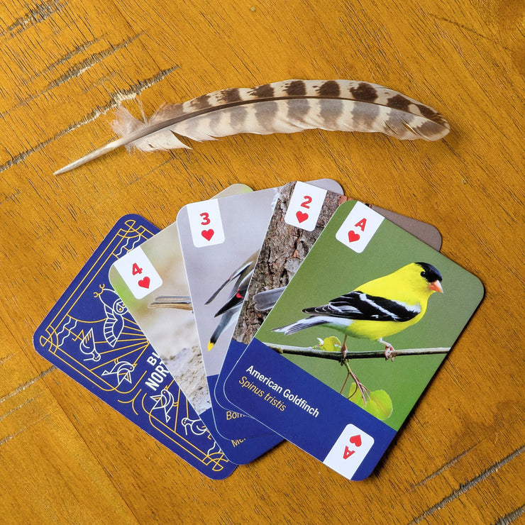 Birds of North America Playing Cards - USA Made
