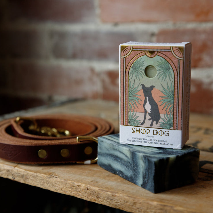 Shop Dog Vegan Dog Shampoo Bar | Cai & Jo Artwork Edition - USA Made