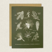 Greeting card with illustrations of evergreens and conifers of North America on a green background