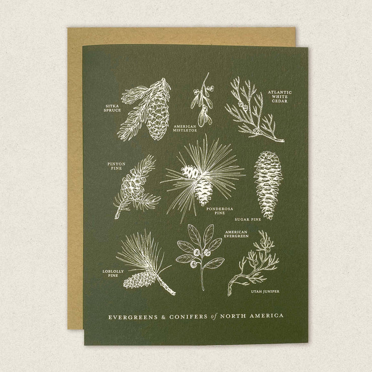 Greeting card with illustrations of evergreens and conifers of North America on a green background