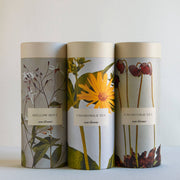 Quiet Botanist Tea Gift Set - USA Made