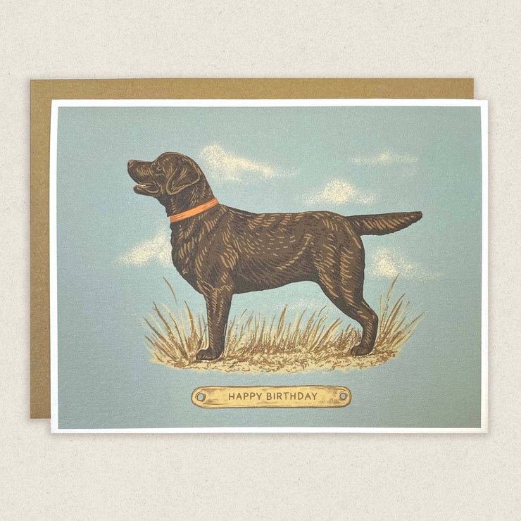 Happy birthday greeting card chocolate lab