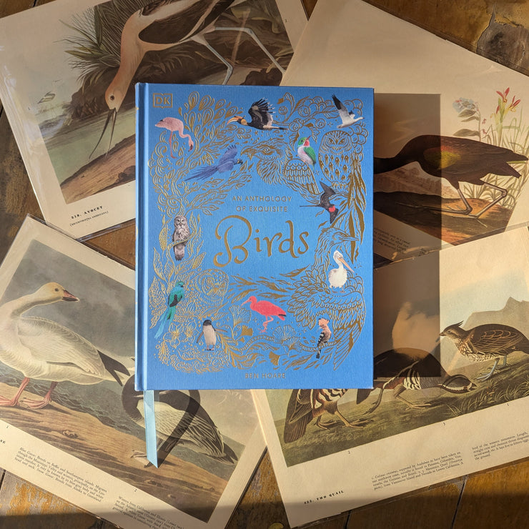 Anthology Birds