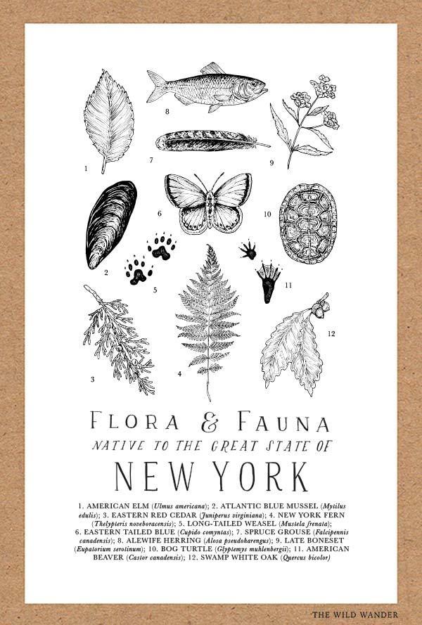 New York Flora Fauna Poster - The Local Branch