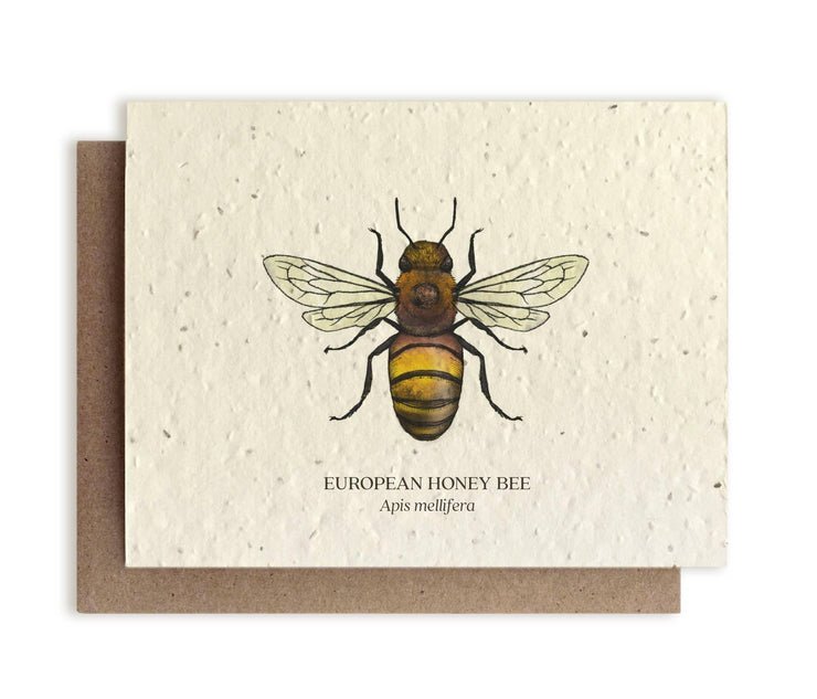 Honey Bee Seed Card - The Local Branch