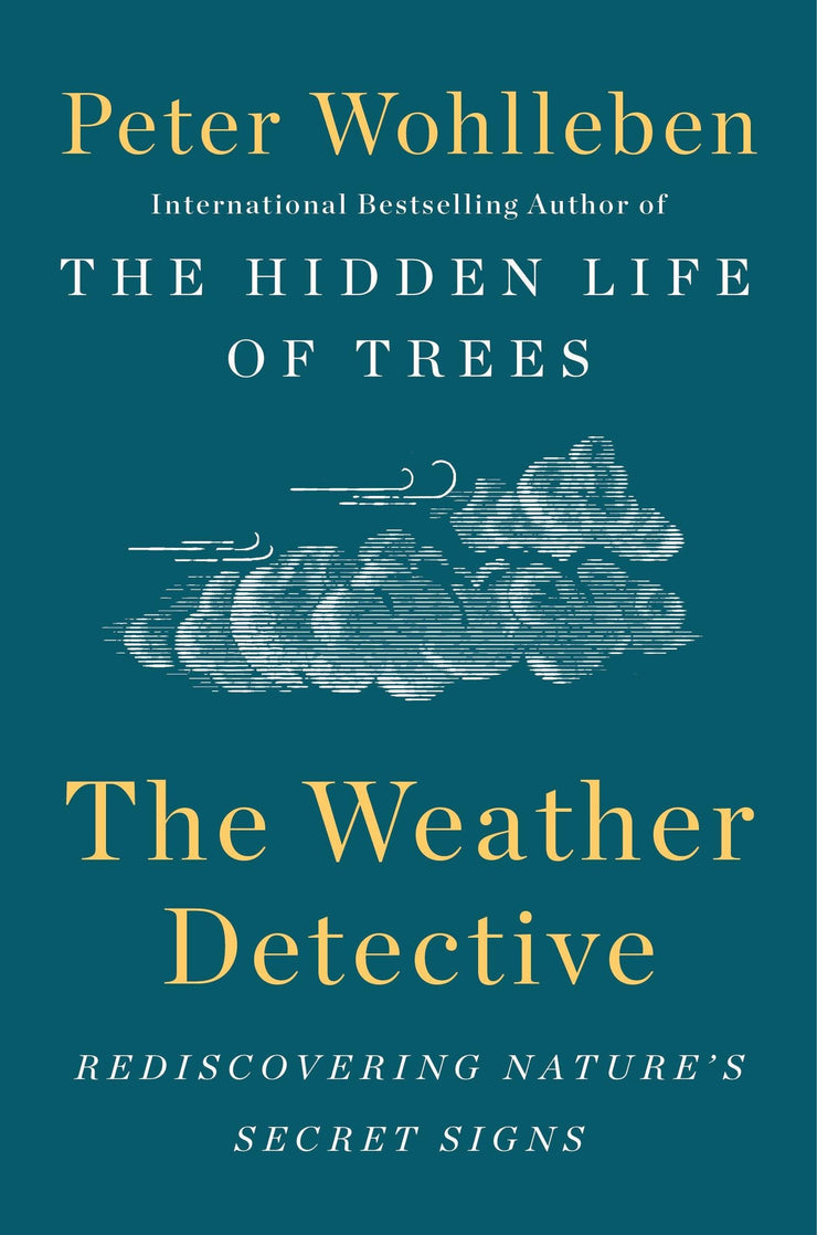 The Weather Detective - The Local Branch