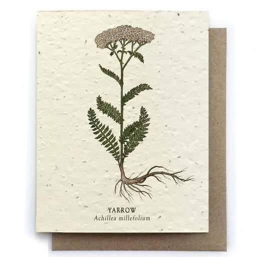 yarrow plantable wildflower greeting card